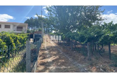 Tomt i Frende, Porto, Frende - € 42 500 | Ref: MC09385 - foto 10