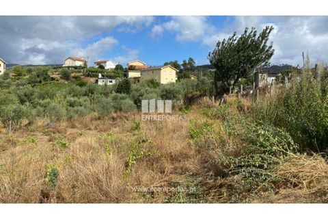 Tomt i Frende, Porto, Frende - € 42 500 | Ref: MC09385 - foto 11