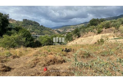 Tomt i Frende, Porto, Frende - € 42 500 | Ref: MC09385 - foto 12