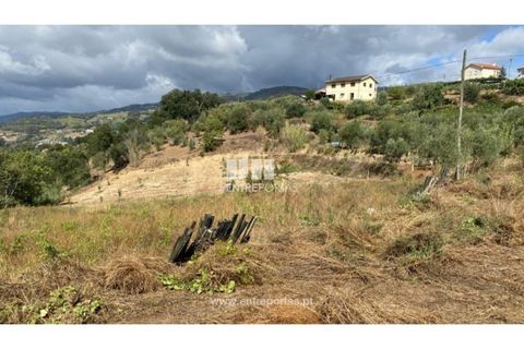 Tomt i Frende, Porto, Frende - € 42 500 | Ref: MC09385 - foto 13