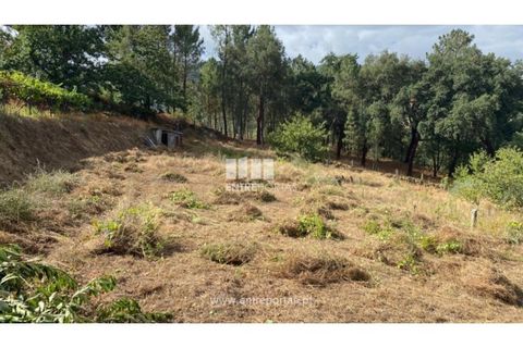Tomt i Frende, Porto, Frende - € 42 500 | Ref: MC09385 - foto 16