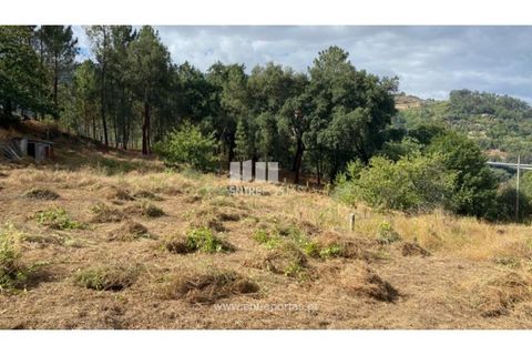 Tomt i Frende, Porto, Frende - € 42 500 | Ref: MC09385 - foto 19