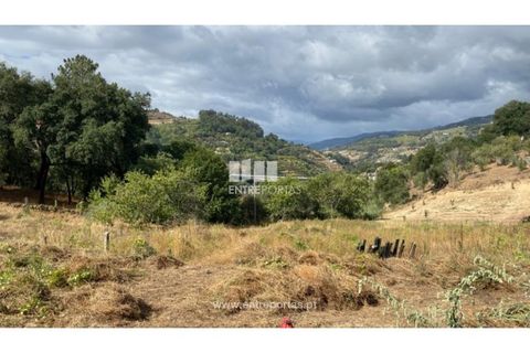 Tomt i Frende, Porto, Frende - € 42 500 | Ref: MC09385 - foto 21