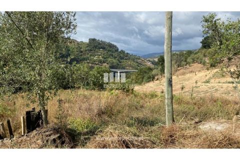 Tomt i Frende, Porto, Frende - € 42 500 | Ref: MC09385 - foto 28