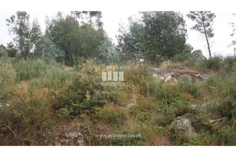 Terra a Banho e Carvalhosa, Porto, Banho e Carvalhosa - € 49.780 | Ref: MC00385 - foto 2