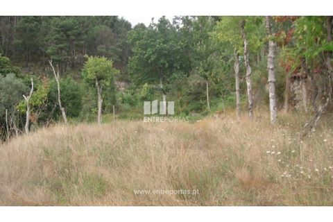 Terra a Banho e Carvalhosa, Porto, Banho e Carvalhosa - € 49.780 | Ref: MC00385 - foto 3