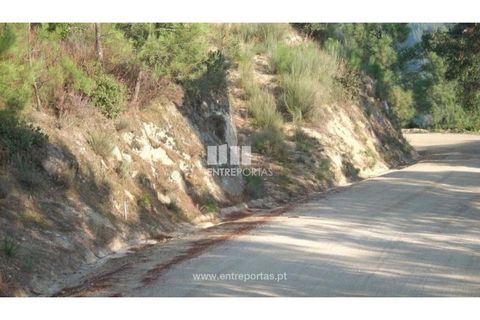Tomt i Ancede e Ribadouro, Porto, Ancede e Ribadouro - € 54 780 | Ref: MC00518 - foto 2