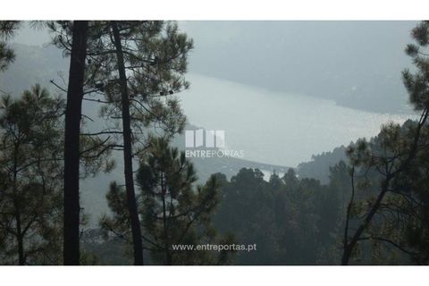 Tomt i Ancede e Ribadouro, Porto, Ancede e Ribadouro - € 54 780 | Ref: MC00518 - foto 3