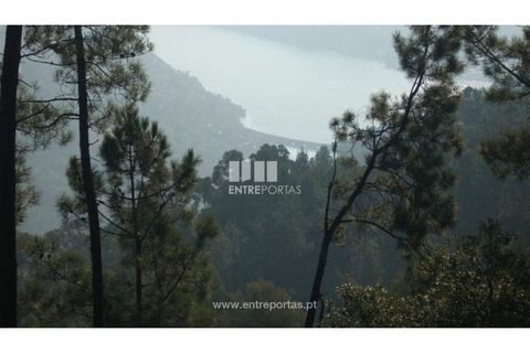 Tomt i Ancede e Ribadouro, Porto, Ancede e Ribadouro - € 54 780 | Ref: MC00518 - foto 5