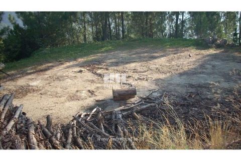 Tomt i Ancede e Ribadouro, Porto, Ancede e Ribadouro - € 54 780 | Ref: MC00518 - foto 6