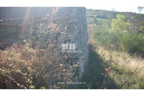 Tomt i Ancede e Ribadouro, Porto, Ancede e Ribadouro - € 55 000 | Ref: MC00700 - foto 2