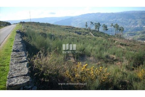 Tomt i Ancede e Ribadouro, Porto, Ancede e Ribadouro - € 55 000 | Ref: MC00700 - foto 5