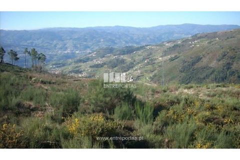 Tomt i Ancede e Ribadouro, Porto, Ancede e Ribadouro - € 55 000 | Ref: MC00700 - foto 6