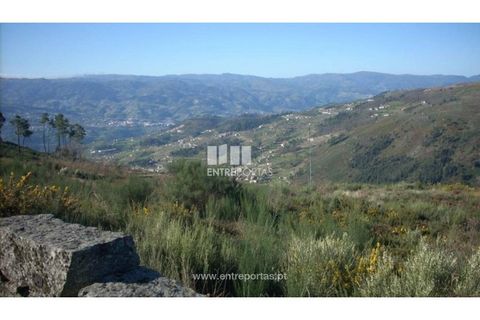 Tomt i Ancede e Ribadouro, Porto, Ancede e Ribadouro - € 55 000 | Ref: MC00700 - foto 7