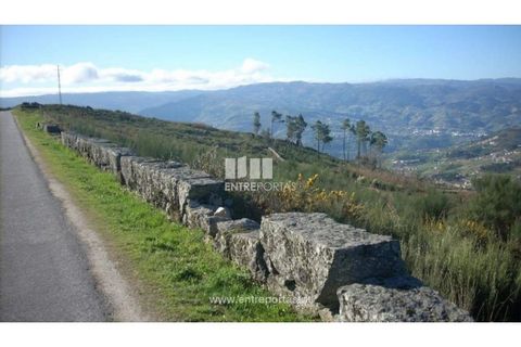 Tomt i Ancede e Ribadouro, Porto, Ancede e Ribadouro - € 55 000 | Ref: MC00700 - foto 8