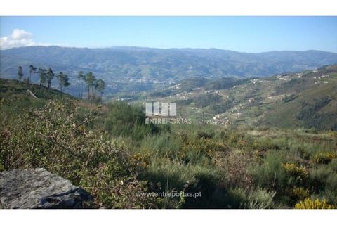 Tomt i Ancede e Ribadouro, Porto, Ancede e Ribadouro - € 55 000 | Ref: MC00700 - foto 9