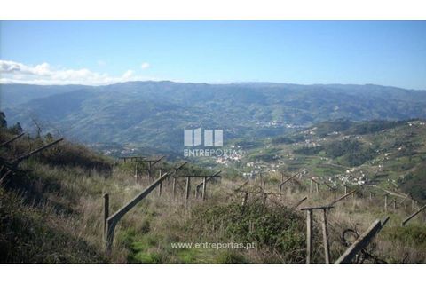Tomt i Ancede e Ribadouro, Porto, Ancede e Ribadouro - € 55 000 | Ref: MC00700 - foto 10