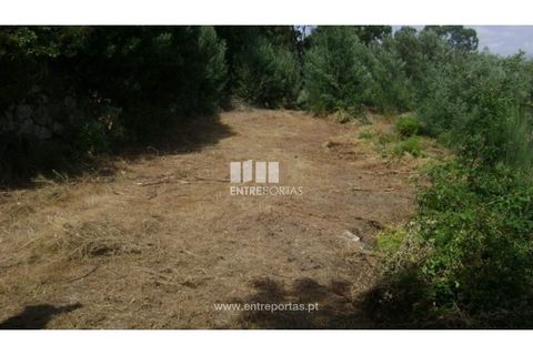 Helårsgrund i Banho e Carvalhosa, Porto, Banho e Carvalhosa - € 20.000 | Ref: MC00787 - foto 1