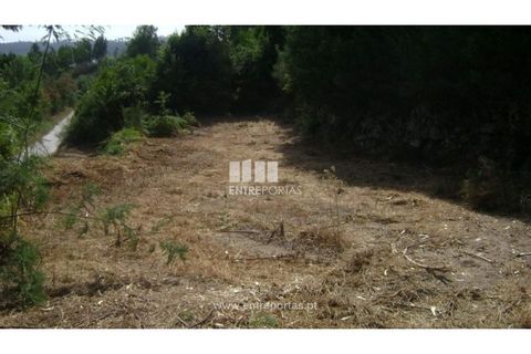 Helårsgrund i Banho e Carvalhosa, Porto, Banho e Carvalhosa - € 20.000 | Ref: MC00787 - foto 2