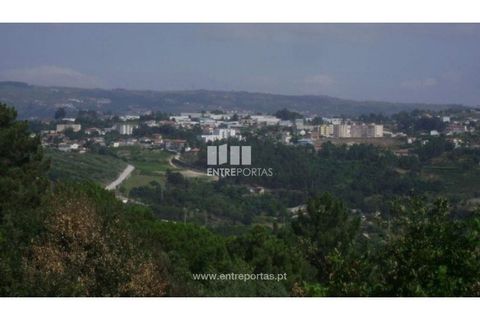 Helårsgrund i Banho e Carvalhosa, Porto, Banho e Carvalhosa - € 20.000 | Ref: MC00787 - foto 3