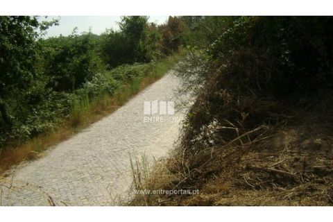 Helårsgrund i Banho e Carvalhosa, Porto, Banho e Carvalhosa - € 20.000 | Ref: MC00787 - foto 4