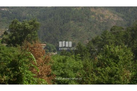 Helårsgrund i Banho e Carvalhosa, Porto, Banho e Carvalhosa - € 20.000 | Ref: MC00787 - foto 5