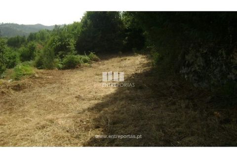 Helårsgrund i Banho e Carvalhosa, Porto, Banho e Carvalhosa - € 20.000 | Ref: MC00787 - foto 6