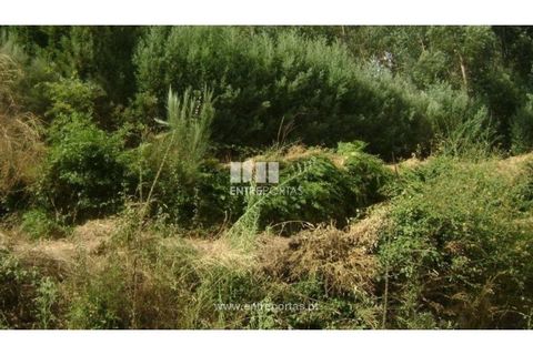Helårsgrund i Banho e Carvalhosa, Porto, Banho e Carvalhosa - € 20.000 | Ref: MC00787 - foto 7