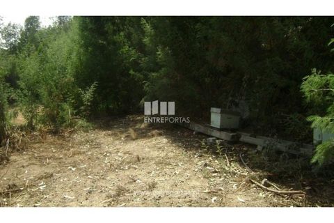 Helårsgrund i Banho e Carvalhosa, Porto, Banho e Carvalhosa - € 20.000 | Ref: MC00787 - foto 9