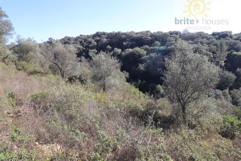 Helårsgrund i Tomar, Santarem, Tomar - € 7.000 | Ref: Tr97 - foto 2