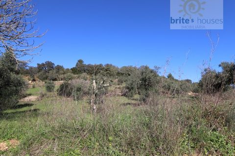 Helårsgrund i Tomar, Santarem, Tomar - € 7.000 | Ref: Tr97 - foto 3