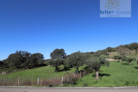 Helårsgrund i Tomar, Santarem, Tomar - € 18.000 | Ref: Tr98 - foto 2