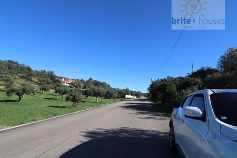 Helårsgrund i Tomar, Santarem, Tomar - € 18.000 | Ref: Tr98 - foto 3