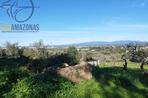Villa i Lagoa, Faro, Lagoa - € 1.750.000 | Ref: 01-394-4 - foto 9