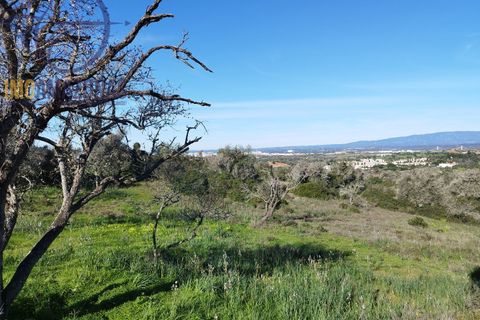 Villa i Lagoa, Faro, Lagoa - € 1.750.000 | Ref: 01-394-4 - foto 10