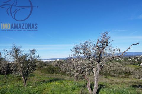 Villa i Lagoa, Faro, Lagoa - € 1.750.000 | Ref: 01-394-4 - foto 11
