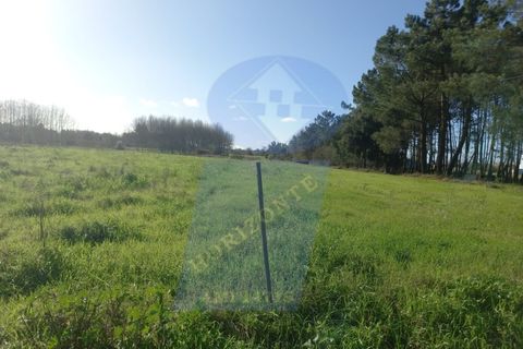 Helårsgrund i Oliveira do Bairro, Aveiro, Oliveira do Bairro - € 10.000 | Ref: TER_982 - foto 3