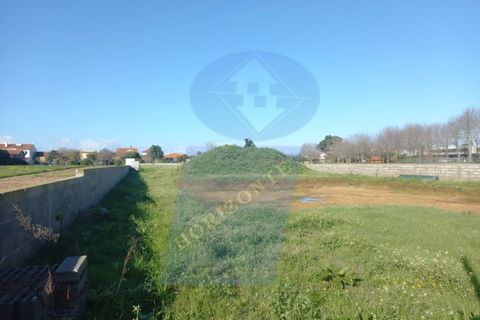 Helårsgrund i Arouca, Aveiro, Arouca - € 75.000 | Ref: TER_981 - foto 2