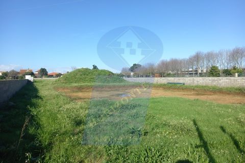 Helårsgrund i Arouca, Aveiro, Arouca - € 75.000 | Ref: TER_981 - foto 5