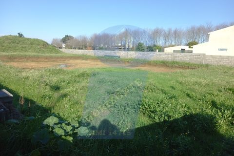 Helårsgrund i Arouca, Aveiro, Arouca - € 75.000 | Ref: TER_981 - foto 7