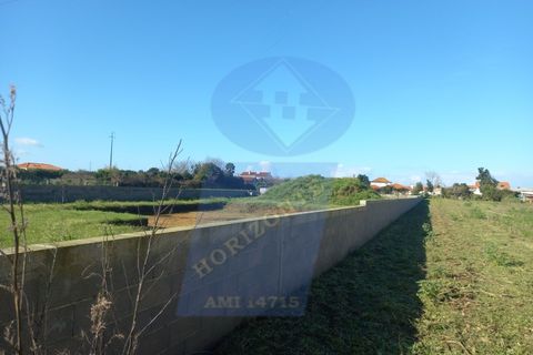 Helårsgrund i Arouca, Aveiro, Arouca - € 75.000 | Ref: TER_981 - foto 8