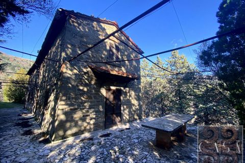 Villa i Cortona, Arezzo, Cortona - € 700.000 | Ref: v57252-x - foto 9