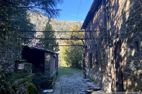 Villa i Cortona, Arezzo, Cortona - € 700.000 | Ref: v57252-x - foto 17