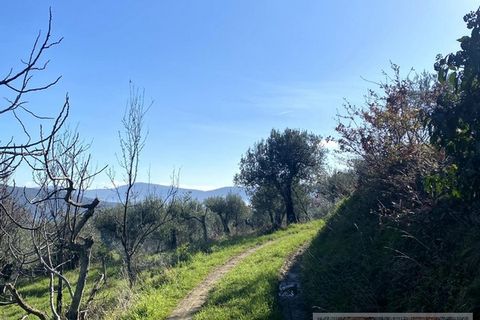 Villa i Cortona, Arezzo, Cortona - € 700.000 | Ref: v57252-x - foto 25