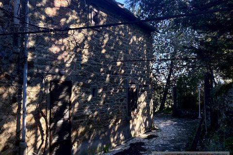 Villa i Cortona, Arezzo, Cortona - € 700.000 | Ref: v57252-x - foto 28