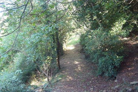 Villa a Cortona, Arezzo, Cortona - € 500.000 | Ref: v57262-x - foto 21