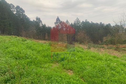 Helårsgrund i Vila Verde, Braga, Vila Verde - € 55.000 | Ref: 07822 - foto 2
