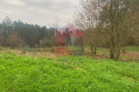 Helårsgrund i Vila Verde, Braga, Vila Verde - € 55.000 | Ref: 07822 - foto 3