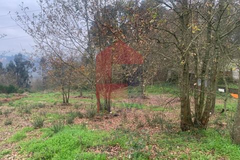 Helårsgrund i Vila Verde, Braga, Vila Verde - € 55.000 | Ref: 07822 - foto 5