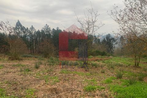 Helårsgrund i Vila Verde, Braga, Vila Verde - € 55.000 | Ref: 07822 - foto 6